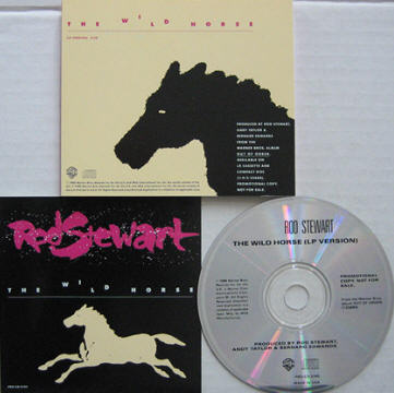 The Wild Horse