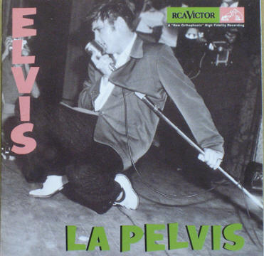 La Pelvis