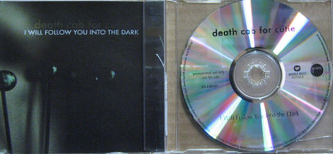 I Will Follow You Into The Dark