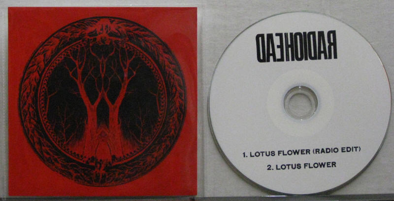 Lotus Flower