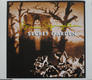 Secret Garden - Bruce Springsteen