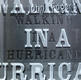 John Fogerty - Walking In A Hurricane