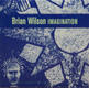 Brian Wilson - Imagination Album