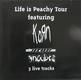 Korn - Life Is Peachy Tour