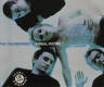Animal Instinct - Cranberries