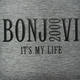 Bon Jovi - It's My Life
