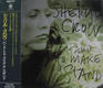 Sheryl Crow - Hard To Make A Stand Record