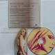 Britney Spears - I'm A Slave 4 U