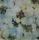 Celine Dion - A New Day Has Come LP