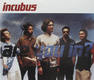 Incubus - Are You In?