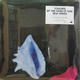 New Order - Touched By The Hand Of God EP