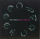 Peter Gabriel - More Than This