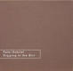 Digging In The Dirt - Peter Gabriel