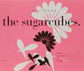 Sugarcubes - Birthday Single