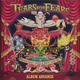 Tears For Fears - Everybody Loves A Happy Ending Record