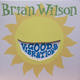 Good Vibrations - Brian Wilson