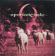 Perfect Circle - Passive