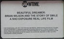 Beautiful Dreamer - Brian Wilson