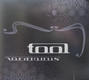 Tool - Vicarious