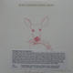 Sean Lennon - Dead Meat LP