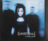 Evanescence - Going Under
