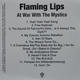 Flaming Lips - At War With The Mystics LP