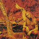 Click for more My Song listings