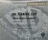 Flaming Lips - This Here Giraffe