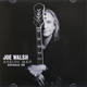 Analog Man - Joe Walsh
