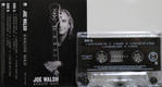 Joe Walsh - Analog Man