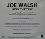 Joe Walsh - Lucky That Way